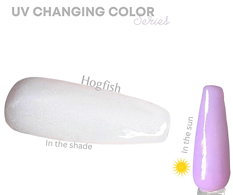 Hogfish (UV color changing) - Sundara Nails