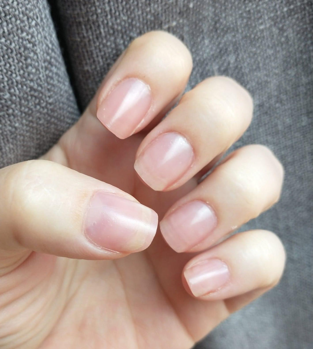 Plum Blossom -Non Sticky 3D Builder Gel - Sundara Nails