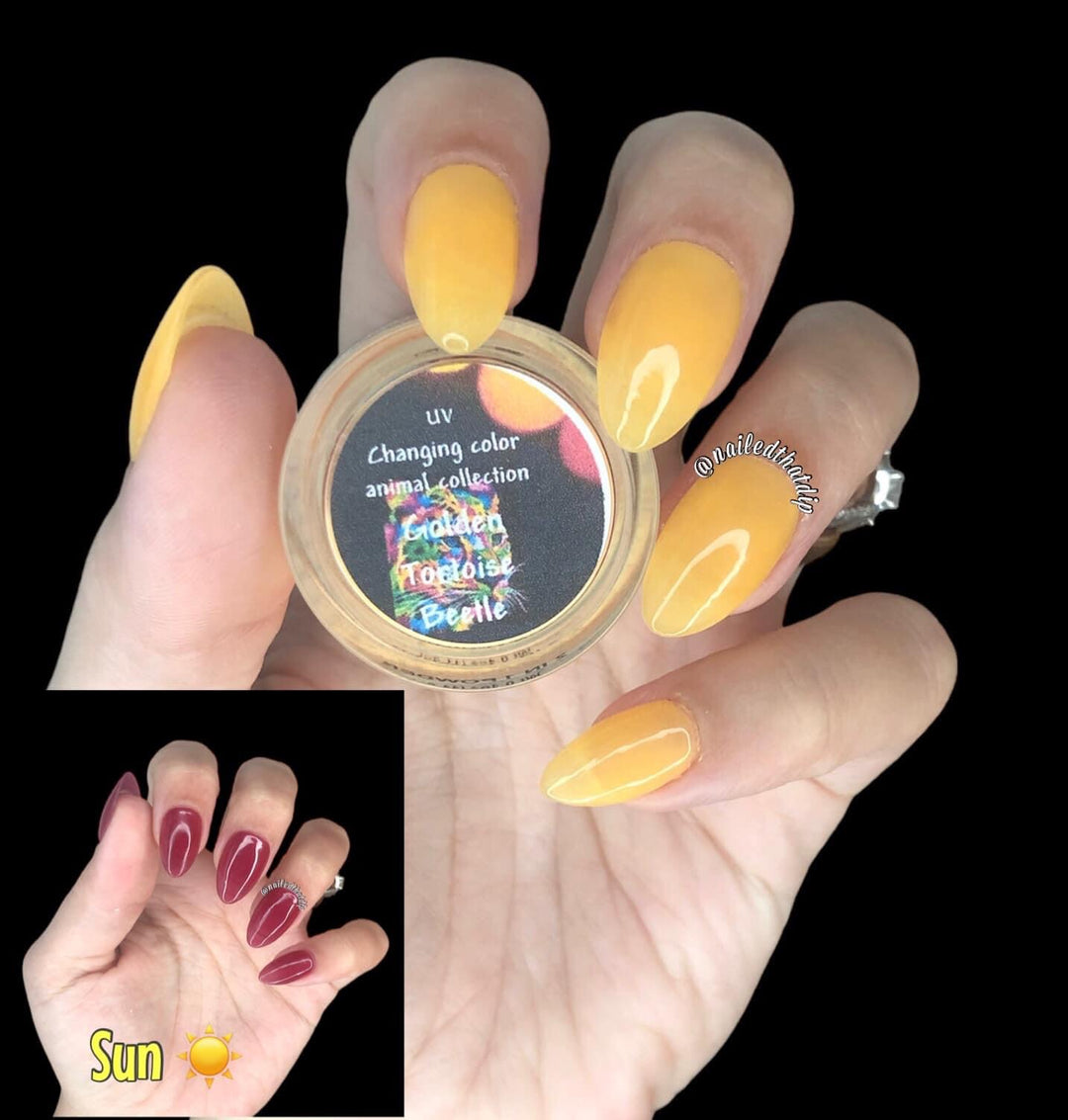 Golden Tortoise Beetle(UV color changing) - Sundara Nails