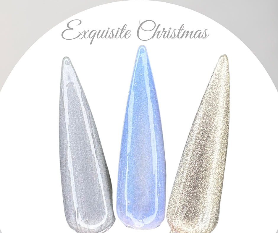 Exquisite Christmas (Pudding Gel Trio) - Sundara Nails