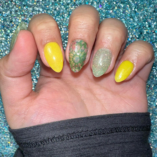 Summer Fun Series (Dip Powder)