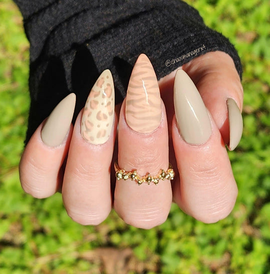Earthy Spring (Pudding Gel Trio Pallet) - Sundara Nails