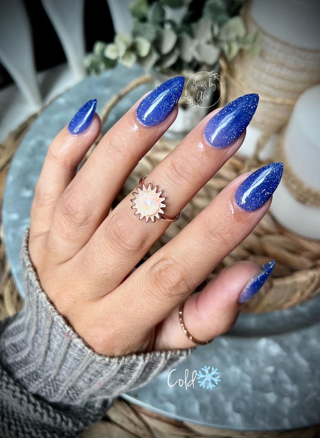 Xander- Reflective thermal gel - Sundara Nails