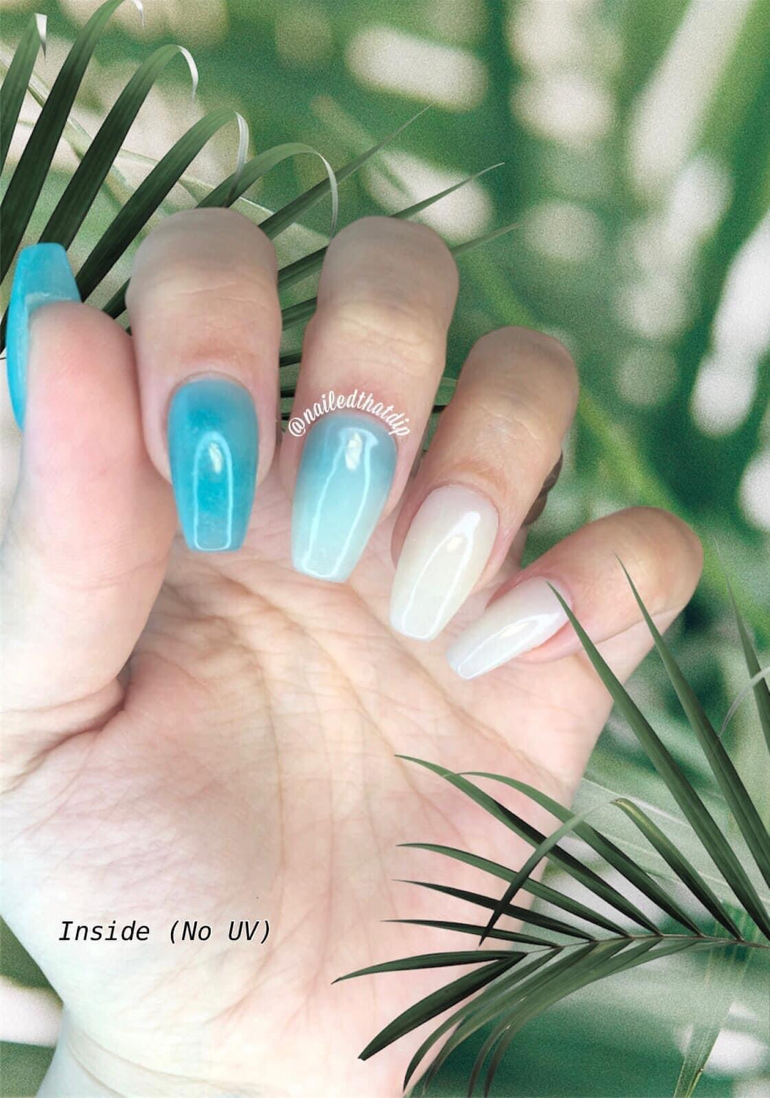 Pacific Tree Frog🐸 (UV color changing) - Sundara Nails
