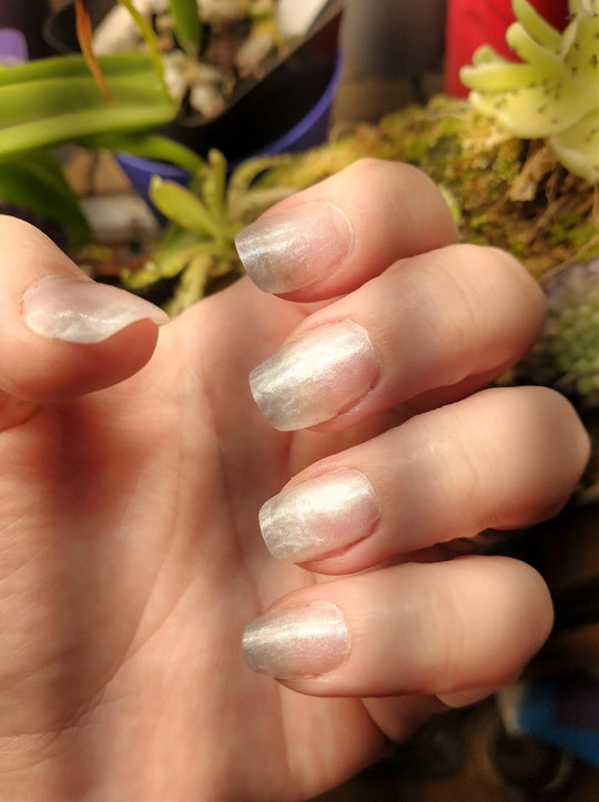 Cotton Tail-Builder Gel (Hema Free) - Sundara Nails