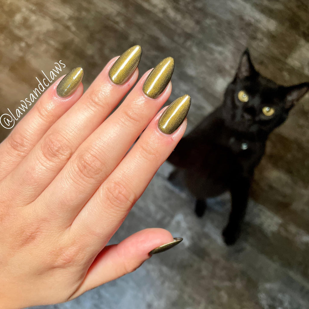 Gomez- Seashell gel polish - Sundara Nails