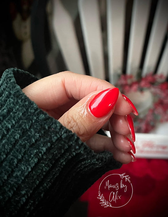 2022 Classic Christmas Gel Polish Collection 7 Colors (Hema Free) - Sundara Nails
